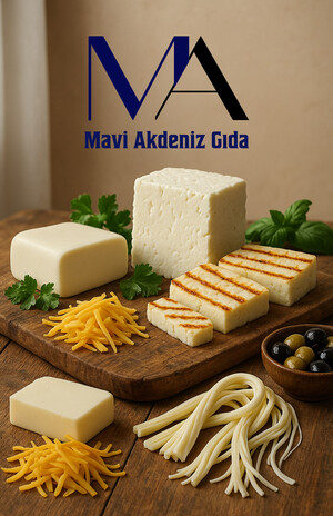 mavi e-katalog kapak görseli