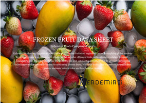 Frozen Cataloge e-katalog kapak görseli