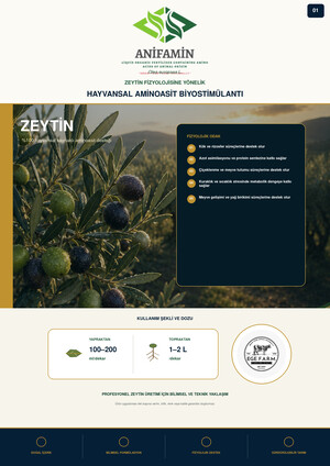 Zeytin_Anifamin e-katalog kapak görseli